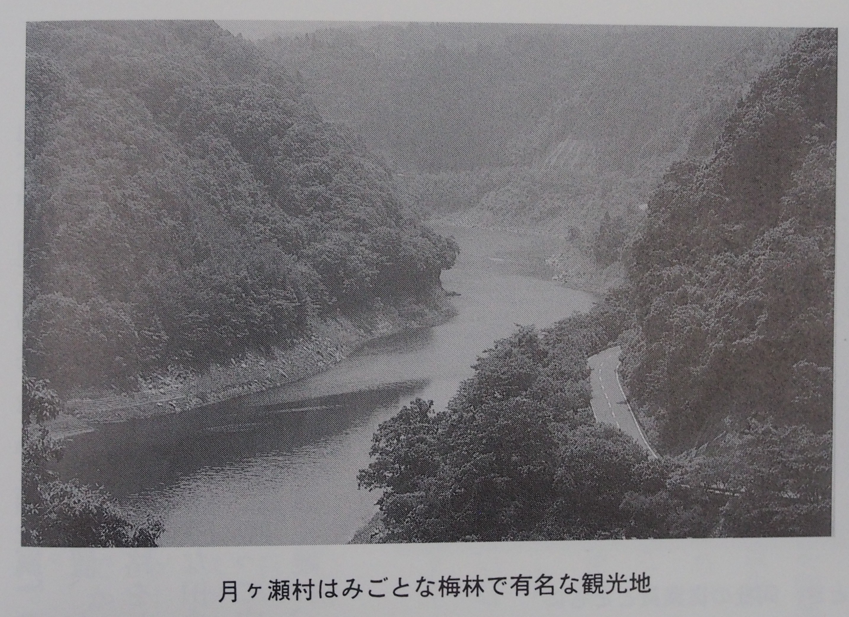 ばね物語18