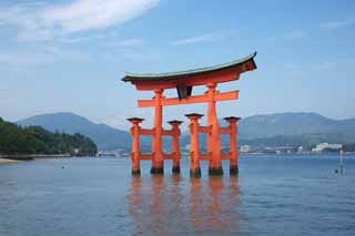 厳島神社 大鳥居.jpg