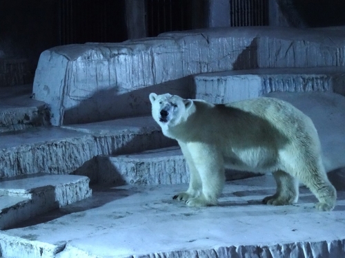 Osaka Tennoji Zoo.jpg