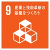 SDGs9