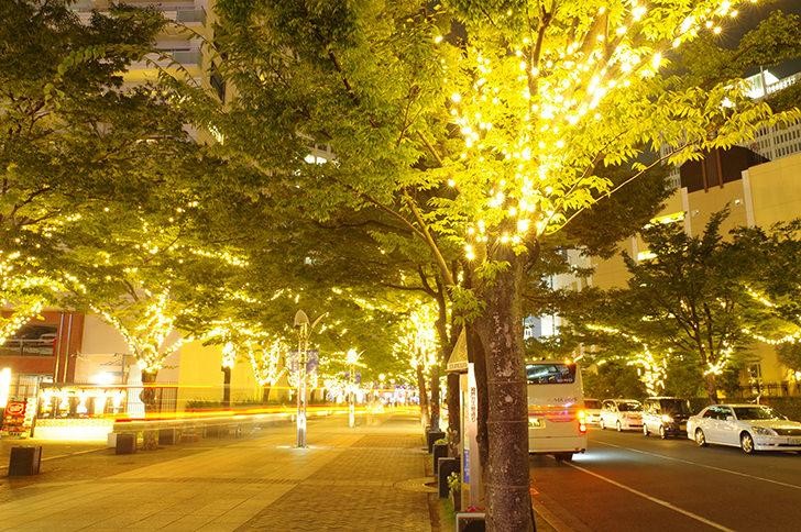 ばね屋のお便り2025年12月号