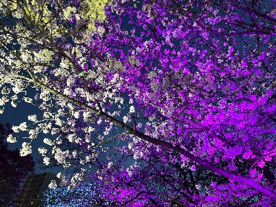 ばね屋のお便り2026年4月号